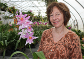 Virginia orchid growers dig into a thriving market