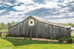 Virginia’s largest barn quilt trail runs through Greene County