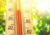 Beat the heat, and stay safe with summer survival tips