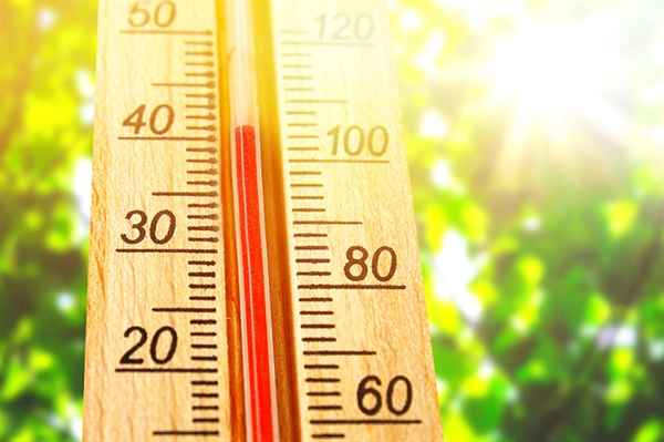 Beat the heat, and stay safe with summer survival tips