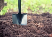 Mulch has multiple functions in the garden