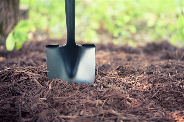 Mulch has multiple functions in the garden