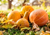 Agriculture makes fall festivities possible
