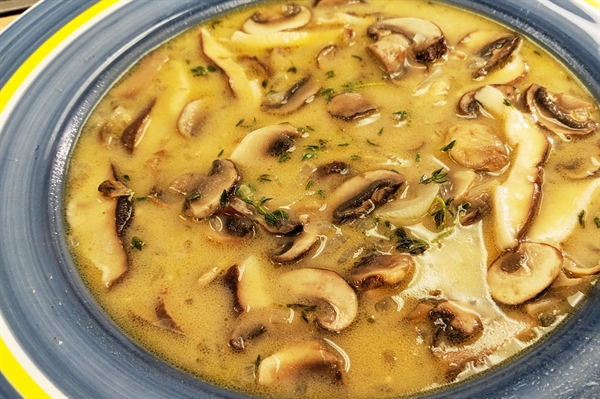 Mushroom Chowder