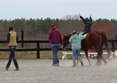 Benefits of therapeutic horseback riding go beyond the ring