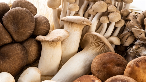 Fresh Mushroom and Parsley Salad