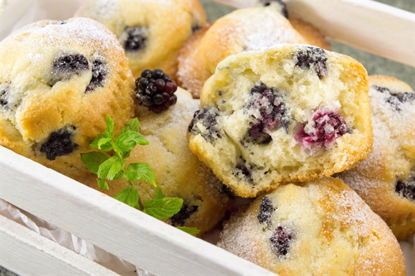 Blackberry Muffins