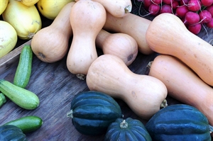 Winter squash provides fresh produce throughout colder months