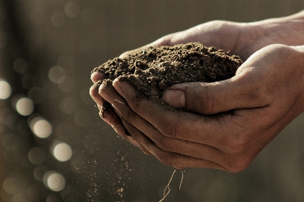 Test your soil now to grow better crops and gardens