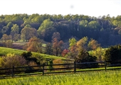 Learn about Wythe County farms on May’s Real Virginia