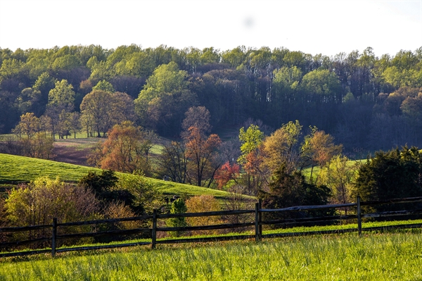 Learn about Wythe County farms on May’s Real Virginia