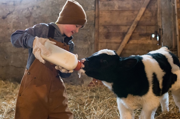 Resources available to keep youth safe on farms