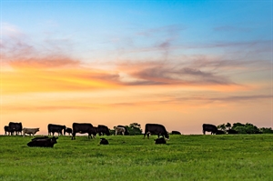 EPA report finds agriculture remains small part of emissions pie