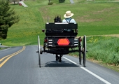 Motorists urged to slow down around horse-drawn buggies