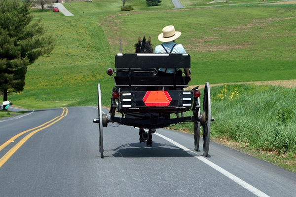 Motorists urged to slow down around horse-drawn buggies