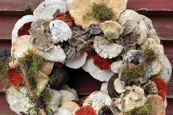 Handmade wreaths reflect Virginia’s seasonal cycles