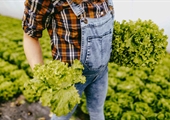 Farmers in child-bearing years face unique set of health and safety challenges