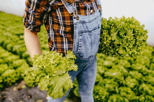 Farmers in child-bearing years face unique set of health and safety challenges