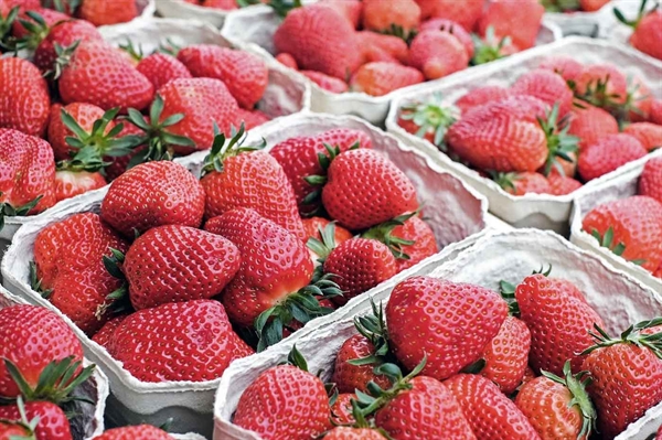 Add a savory spin to seasonal recipes with fresh strawberries