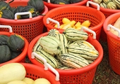 Charitable Virginia farms, volunteers serve communities by providing fresh produce