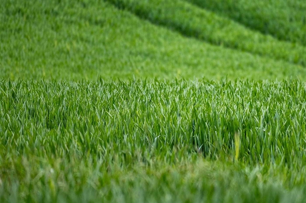 Virginia agriculture thrives in the Washington suburbs, on Real Virginia