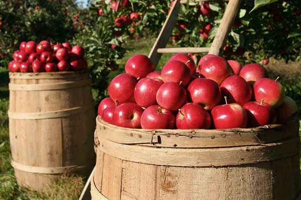 Agriculture remains Virginia’s top industry, on Real Virginia