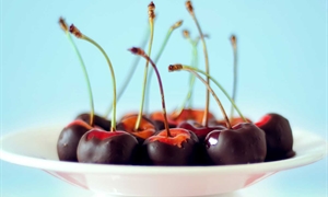 Chocolate-coated Maraschino Cherries Sprinkled with Macadamia Nuts