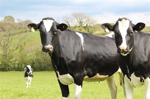 Dairy farmers eligible for additional assistance