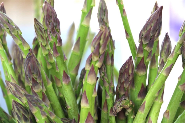 Demand for seasonal asparagus remains high