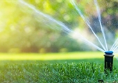 Do your part and water smart during Smart Irrigation Month