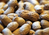 Go nuts over Virginia peanuts on National Peanut Day