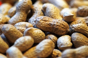 Go nuts over Virginia peanuts on National Peanut Day