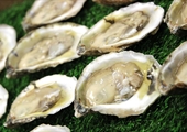 Virginia-grown oysters dominate East Coast production