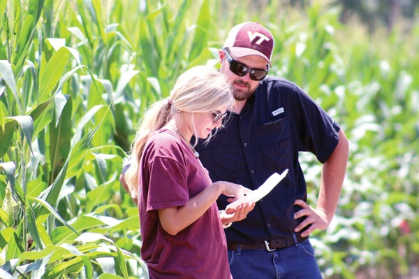 Farmers voluntarily implement practices to reduce nutrient runoff in Chesapeake Bay