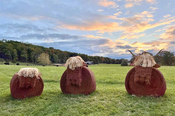 Imaginative hay bale displays spotlight agriculture and community spirit