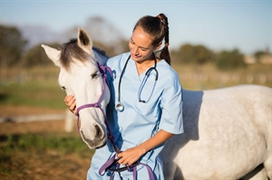 Veterinary services grants available for Virginia counties