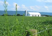 2022 Census of Agriculture reports Virginia’s top producing counties