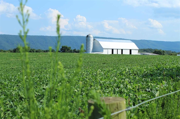 2022 Census of Agriculture reports Virginia’s top producing counties