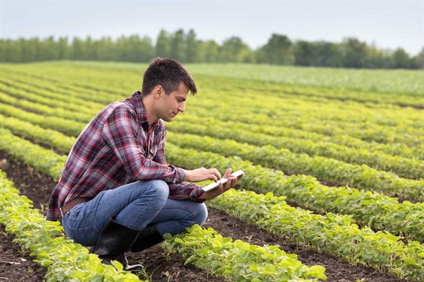 Young and beginning farmers tackle obstacles to securing their future