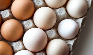 Virginia-grown eggs are all they’re cracked up to be