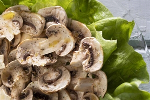 Fresh Mushroom and Parsley Salad