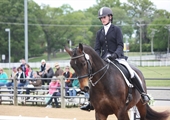 Have a ball at horse shows, rodeos and other lively events