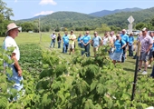 VFBF Young Farmers Expo to be held in Nelson County
