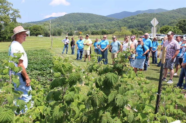 VFBF Young Farmers Expo to be held in Nelson County