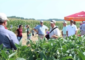 Virginia’s ‘largest agricultural field day’ is just around the corner