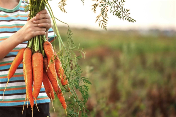 Virginia students to benefit from record-breaking USDA farm-to-school investment