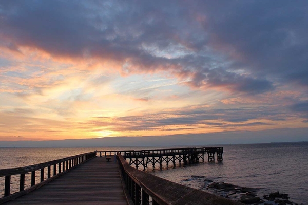 Chesapeake Bay report card shows improvements; farmers credited for best practices