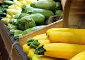 Savor the flavors of summer with Virginia-grown squash