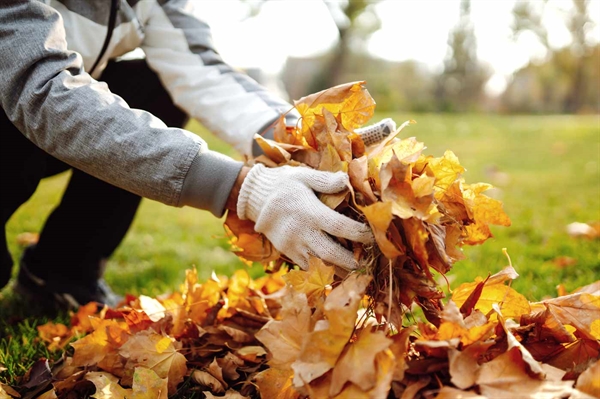 Don’t let your fall leaves go to waste