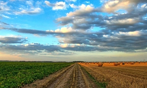 Congressional candidates outline agricultural priorities